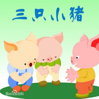 小主播：杜宇杰—三只小猪
