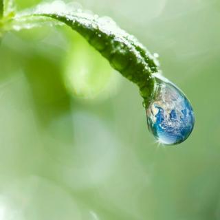 《雨水》（节选）作者 张卫华