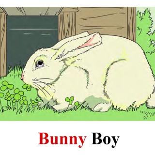 Bunny Boy