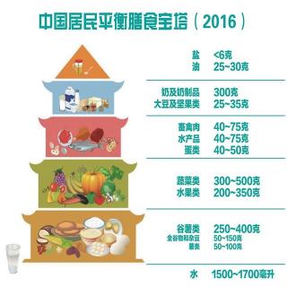 《大米比药好》第一章第五节大米是中国家庭健康膳食结构的基础