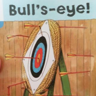 Bull's—eye