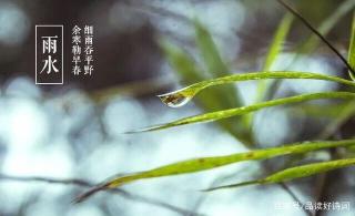 元宝读诗词【二十四节气（雨水）特辑】--春雨（陆游）