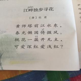 江畔独步寻花