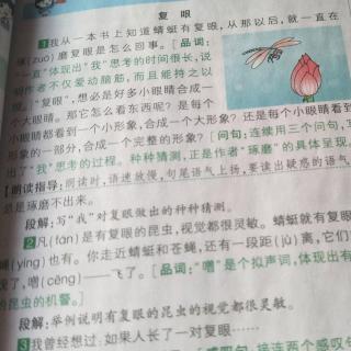 4、昆虫备忘录