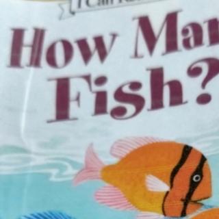 How many fish W2