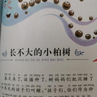 《长不大的小柏树》