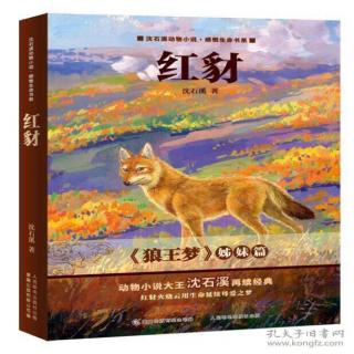 七年三班赵迎辰《红豺》有感