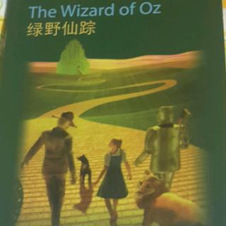 The Wizard of Oz  (30----35)