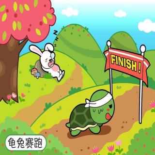《龟兔赛跑》金钥匙幼儿园大四班吴锦松