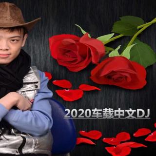 2020车载中文DJ 