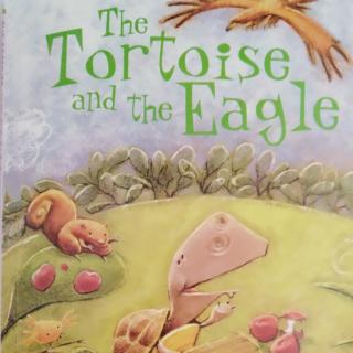 the tortoise and the eagle