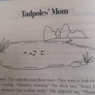 阅读理解13 Tadpoles’ mom
