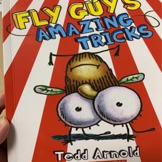 Fly Guy's amazing tricks