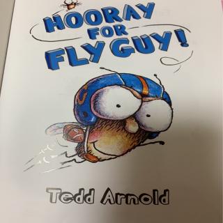 Hooray For Fly Guy By Shirley