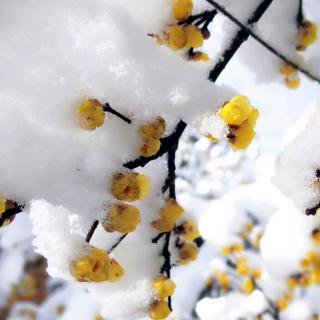 2.20《童年的水墨画～溪边》