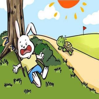 龟兔赛跑头像图片