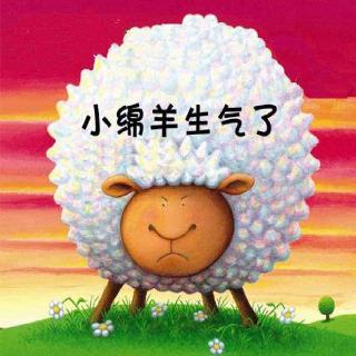 《小绵羊生气了🐑》