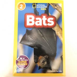 NG2 Bats P1-15