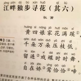 2月20日林柔妙朗诵江畔独步寻花（其六）