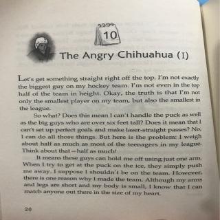 12-10 The Angry Chihuahua（1）