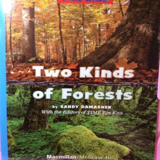 G2 Science LR Book92 - Two Kinds of Forests