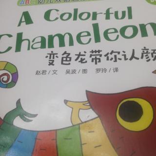 A COLORFUL CHAMELEON