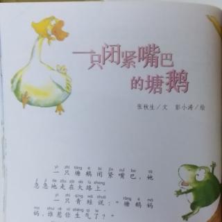 一只闭紧嘴巴的塘鹅