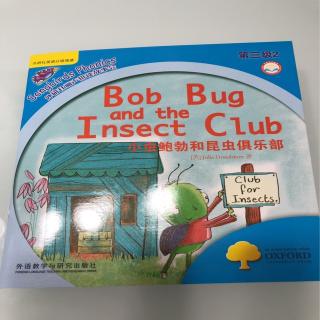 bob bug and the insect club