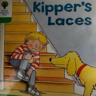 2-13 kipper's laces