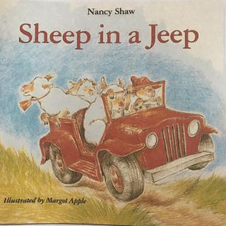 Sheep in a jeep