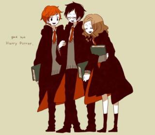 harry potter (ch 16) p289-293