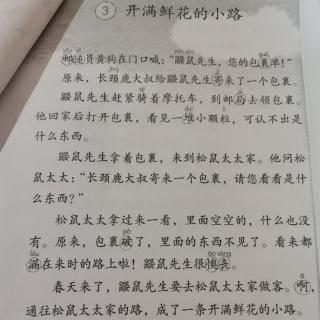 开满鲜花的小路