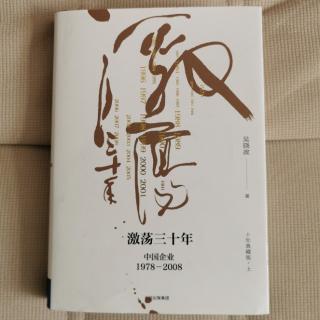 《激荡三十年》吴晓波“1990乍热骤冷7”