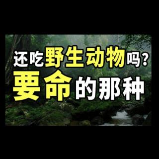 《请珍惜和善用你吃的权利》作者：柴志忠   诵读：