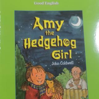 Amy the hedgehog girl