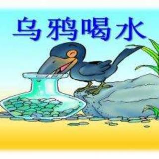 马凯——《乌鸦喝水》