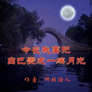 《今夜 我要把自己变成一缕月光》