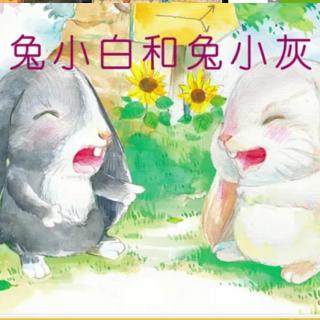 熊孩子绘本故事《兔小白和兔小灰》