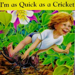 I'm as quick as a cricket