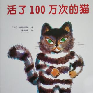 田田老师讲故事《活了100万次的猫》