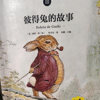 托德先生的故事