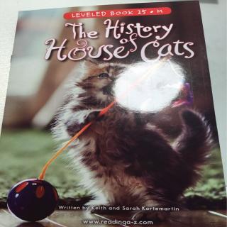 the history house cats