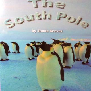 G2 Science LR Book91 - The South Pole