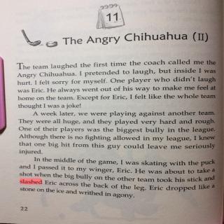 12-11 The Angry Chihuahua（2）