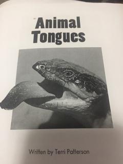 Animal Tongues