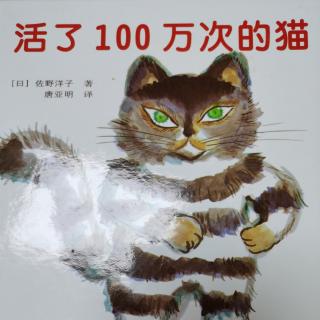 活了100万次的猫