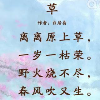 古诗朗诵草作者白居易