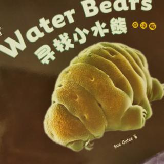 《Big cat》大猫三级《Water Bears》