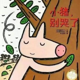 晚安故事《小猪🐷别哭了》