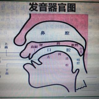 含有长元音/i:/的词组和句子